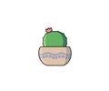 Cactus vector illustration in flat style. Parodia schwebsiana icon or object for design