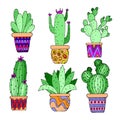 1606 cactus, vector illustration, set of pictures in bright colors, cacti in pots, isolate on a white background