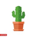 Cactus is vibrant green with multiple branches each adorned with small Royalty Free Stock Photo