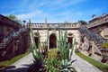 Cactus of Villa Vizcaya Gardens Royalty Free Stock Photo