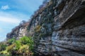 Cactus wall on the cliff in Sumidero Canyon Royalty Free Stock Photo