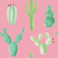 Watercolour Hand Painted Cactus Flower Seamless Repeat Pattern