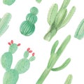 Watercolour Succulents Hand Painted Cactus Flower Seamless Repeat Pattern