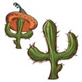 Cactus and cactus wearing Mexican Sombrero Royalty Free Stock Photo