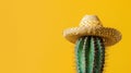 Cactus wearing a straw hat on a yellow background, minimalistic and vibrant concept Royalty Free Stock Photo