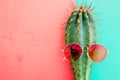 A cactus wearing sunglasses and pink glasses. The cactus is in a blue pot. The image has a fun and playful mood. Banner in a pink Royalty Free Stock Photo