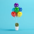 Cactus in white pot attached to colorful balloons on blue background Royalty Free Stock Photo