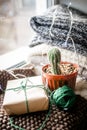 A cactus on the window next to a gift wrapped in recycled wrapping paper. Zero waste concept. Modern Christmas Royalty Free Stock Photo