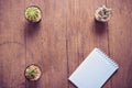 Cactus on wood and notebook Still Life , Three Cactus Plants on Vintage Wood Background Texture. Royalty Free Stock Photo