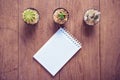 Cactus on wood and notebook Still Life , Three Cactus Plants on Vintage Wood Background Texture.