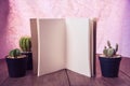 Cactus on wood and notebook Still Life , Three Cactus Plants on Vintage Wood Background Texture. Royalty Free Stock Photo