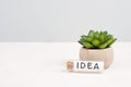 Cactus with the word idea standing on a bottle, gray background, minimalistic desk, brainstorming for a start up, being creative