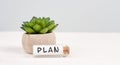 Cactus with the word plan standing on a bottle, gray background, minimalistic desk, brainstorming for a start up, being creative