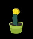 Cactus with a yellow flower in a pot. Hymnocalycium