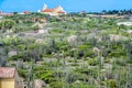 Landscape with cacti and brush plants, Aruba