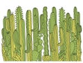 Cactuses background. Green Succulent vector hand drawn illustration for design isolated on white Royalty Free Stock Photo