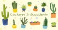 Cactuses Flat Composition Set