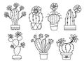 Cactuses. Hand drawn outline cactus with flowers. Vector set cacti, aloe and leaves Collection of exotic plants hand drawn Royalty Free Stock Photo