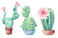 Cactuses in pots hand drawn watercolor raster illustration set Royalty Free Stock Photo