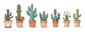 Cactuses set in the pots flat vector illustration Royalty Free Stock Photo