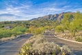 Cactuses and shrubs in the middle of two-lane road at Tucson, Arizona Royalty Free Stock Photo