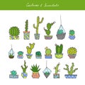 Cactuses, succulents set. Royalty Free Stock Photo