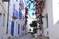 Cadaques typical street. Mediterranean town