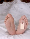 Cadaver feet Royalty Free Stock Photo