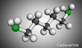 Cadaverine, pentamethylenediamine molecule. It is foul-smelling diamine formed by bacterial decarboxylation of lysine. Molecular