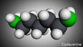 Cadaverine, pentamethylenediamine molecule. It is foul-smelling diamine formed by bacterial decarboxylation of lysine. Molecular