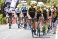 Cadel Evans Great Ocean Road Race - Elite Mens Royalty Free Stock Photo