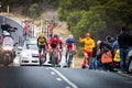 Cadel Evans Great Ocean Road Race