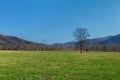 Cades Cove, Great Smoky Mountains National Park Royalty Free Stock Photo