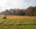 Cades Cove Hay field