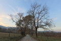 Cades cove sparks lane