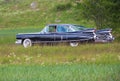 TULLGARN SWEDEN June 9, 2016. CADILLAC Fleetwood Year 1959.