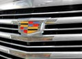 Cadillac grille and logo