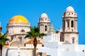 Cadiz Cathedral domes, Spain Royalty Free Stock Photo