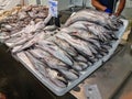 Cadiz Fish Market. Stunning Fresh fish stall in The Central Market of Cadiz, Andalusia, Spain.