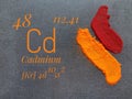 Cadmium, chemical element of periodic table with atomic data and orange red powder pigments