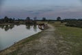 Cadnams pool sunset ponies