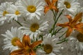 Bouquet of orange lilies with large daisies on a white background Royalty Free Stock Photo