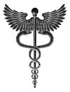 Caduceus Vintage Doctor Medical Snakes Symbol