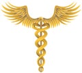 Caduceus Medical Symbol - Gold Royalty Free Stock Photo