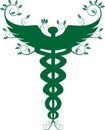 Caduceus Medical Symbol - Green Royalty Free Stock Photo