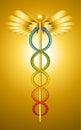 Caduceus Rod Of Asclepius Hermes Greek Symbol Snakes