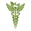 Caduceus symbol composed with poisonous snakes and bird wings, h