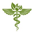 Caduceus symbol composed with poisonous snakes and bird wings, h