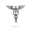 Caduceus, vector illustration in engraving style. Vintage pastiche of esoteric and occult sign. Drawn sketch.