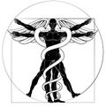 Caduceus Vitruvian Man Royalty Free Stock Photo